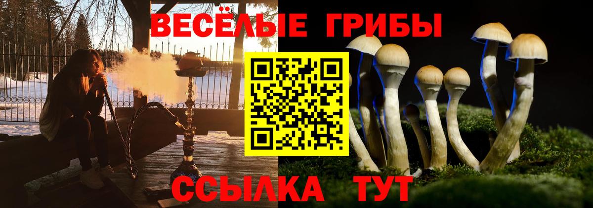 Люберцы  Псилоцибиновые грибы мицелий  Вход с VPN 